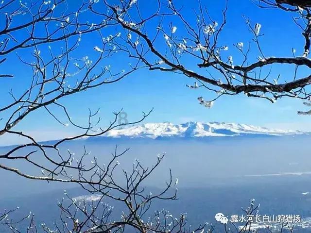 救援小洋葱